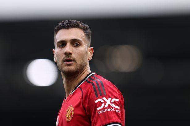 体的回归日, bdg